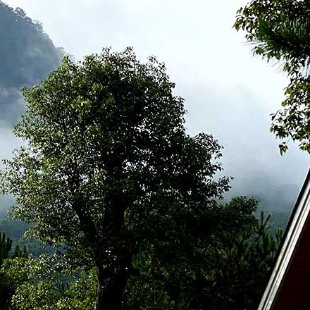 企業(yè)標(biāo)識導(dǎo)視牌