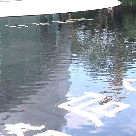 樹的標識牌設計:植物種類的標志