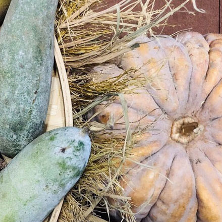 萬里標識設計:品牌傳承的里程碑